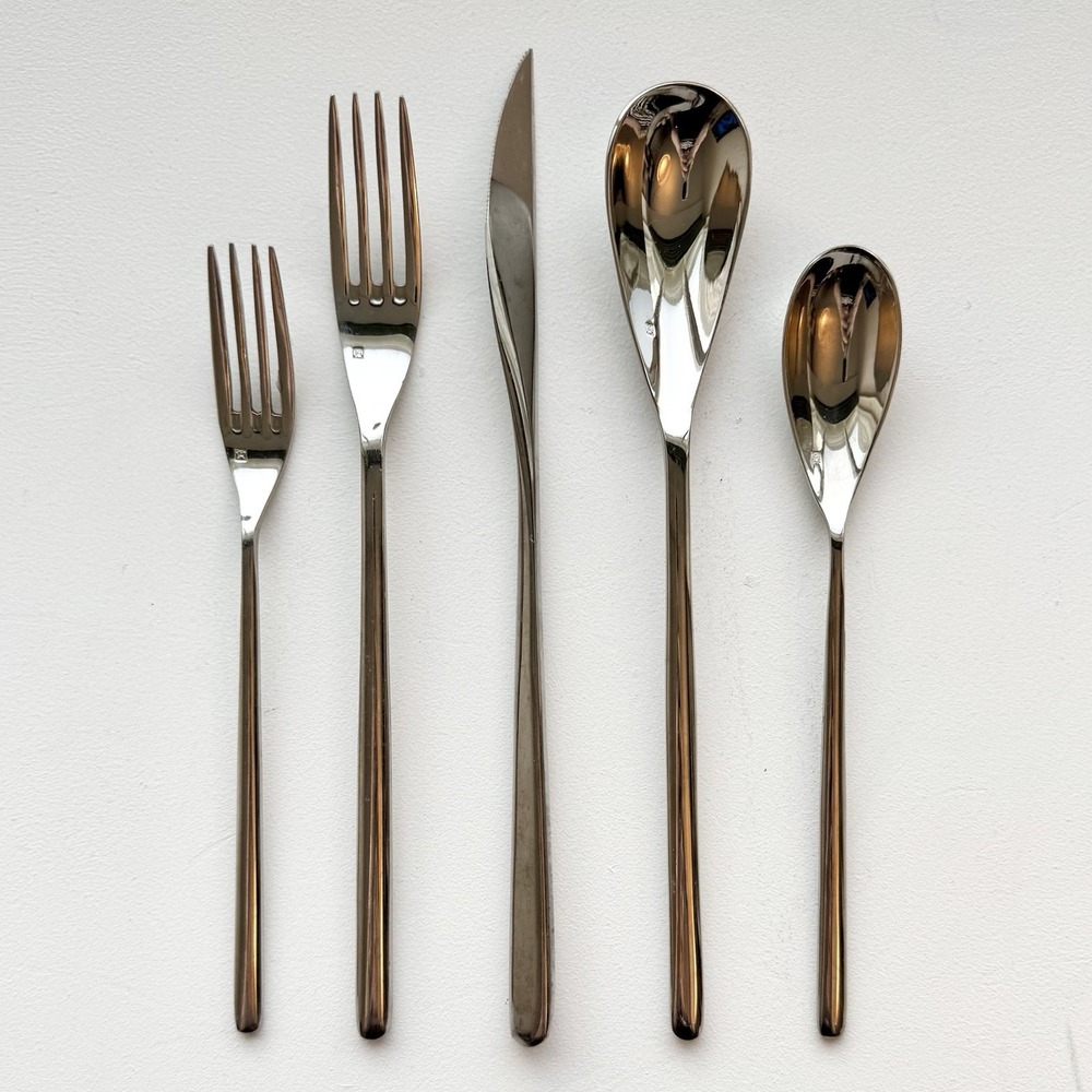 Fortessa‎ Dragonfly 18/10 Stainless Steel Flatware 5 Piece Place Setting